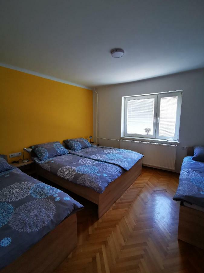 Apartmaji Tomsic Mojstrana Exteriér fotografie